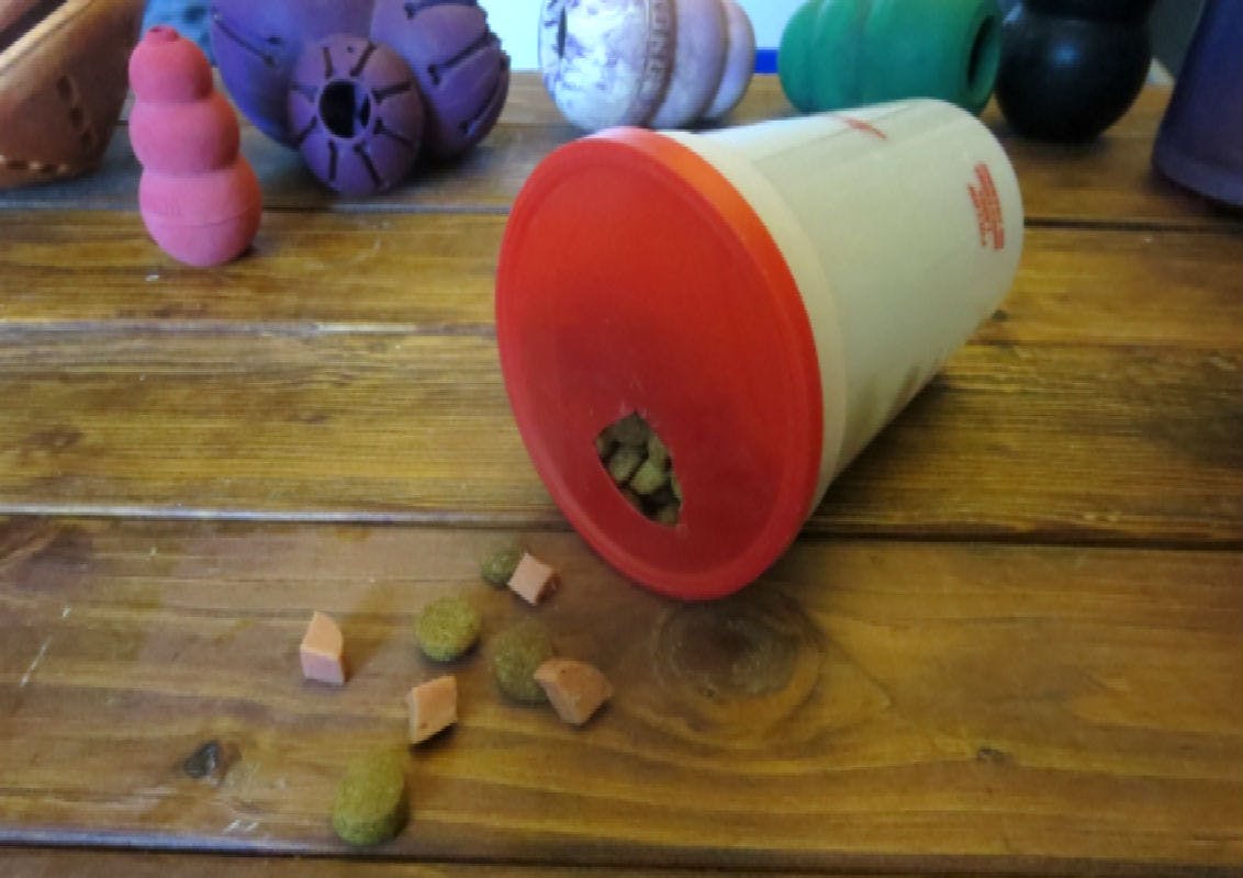 15 DIY Dog Toys Anyone Can Make