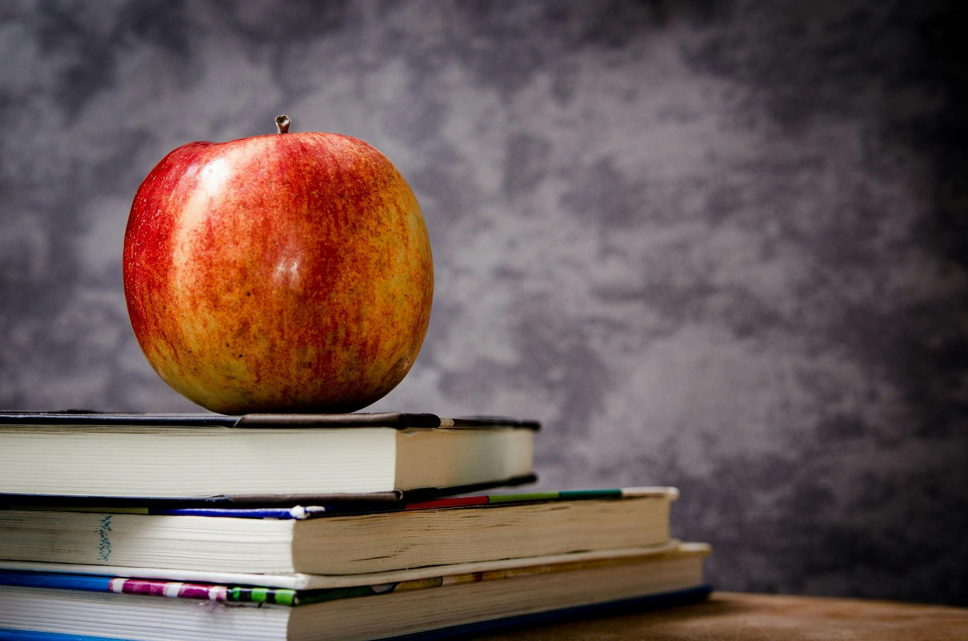 11 Online Jobs for College Students