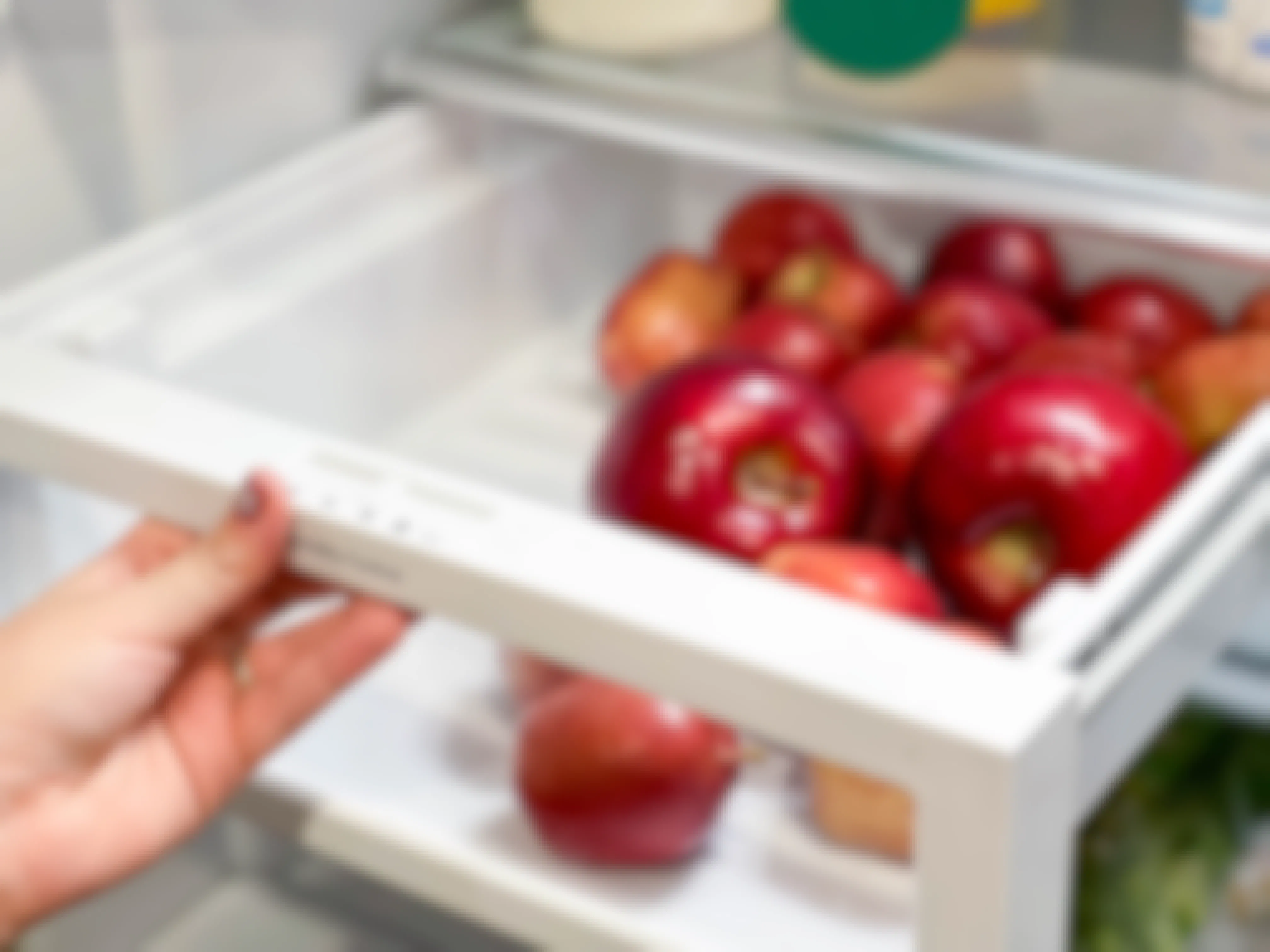 apples in fridge crisper drawer