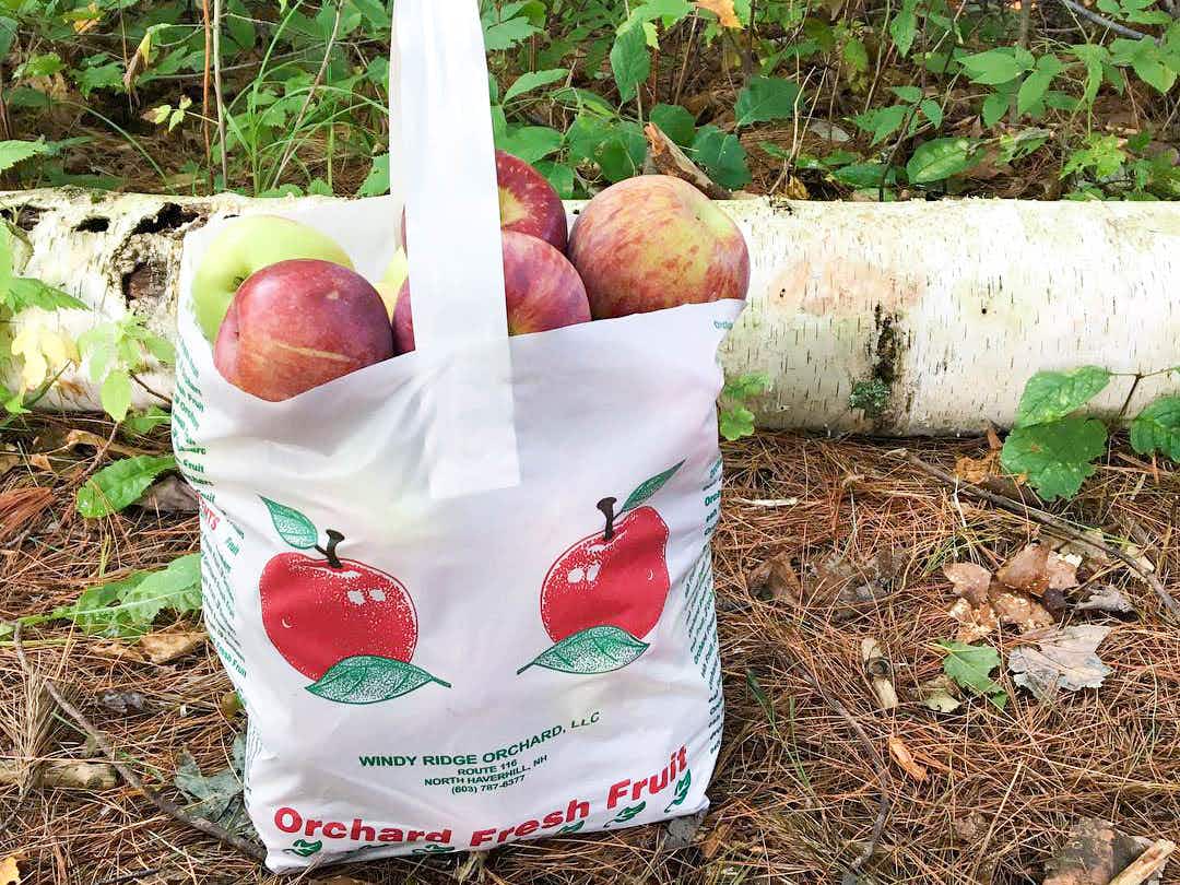 bag of apples from an orchard