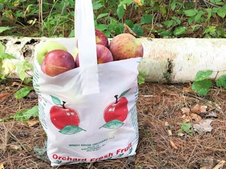 bag of apples from an orchard