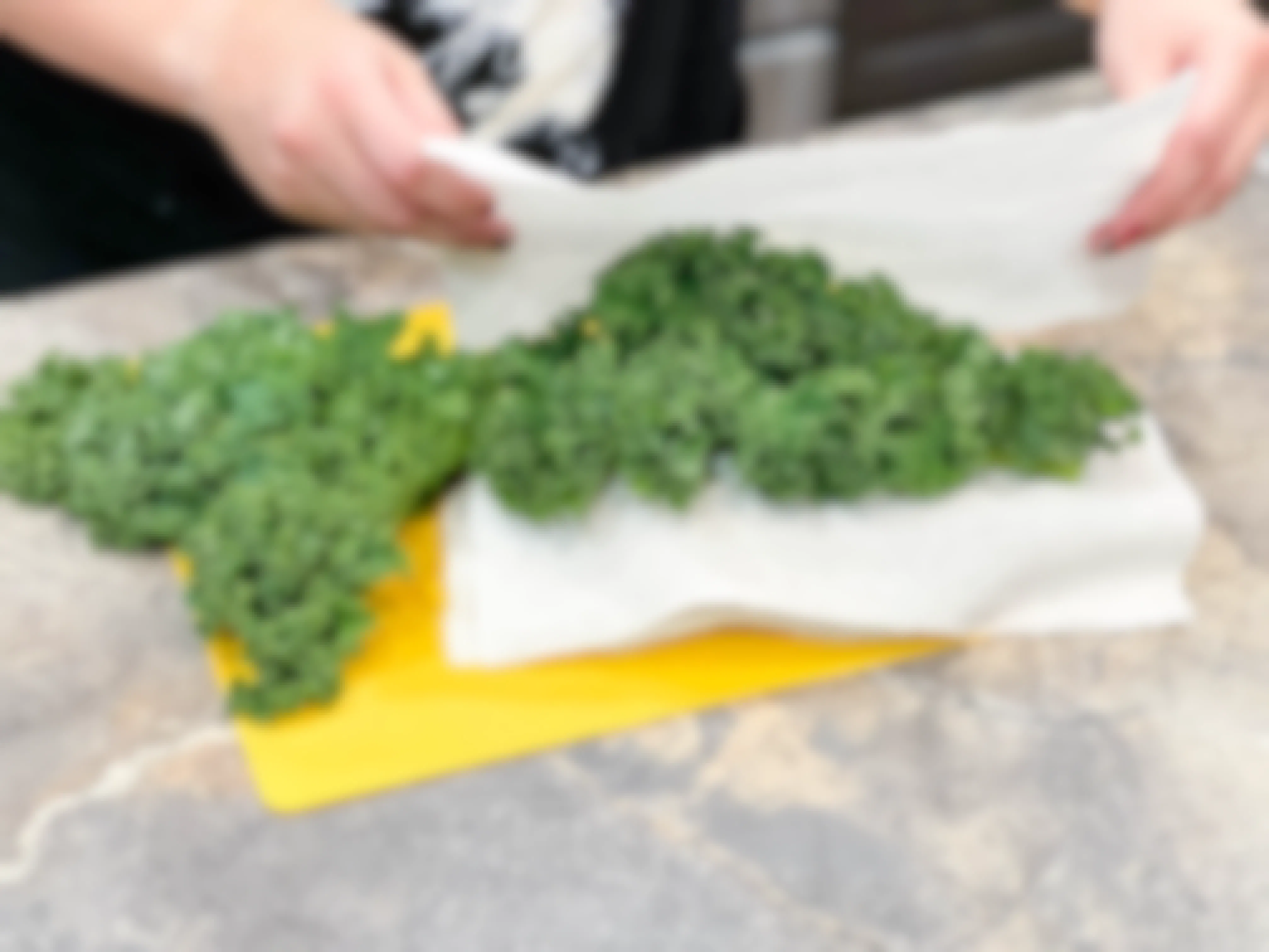 kale being separated with paper towel