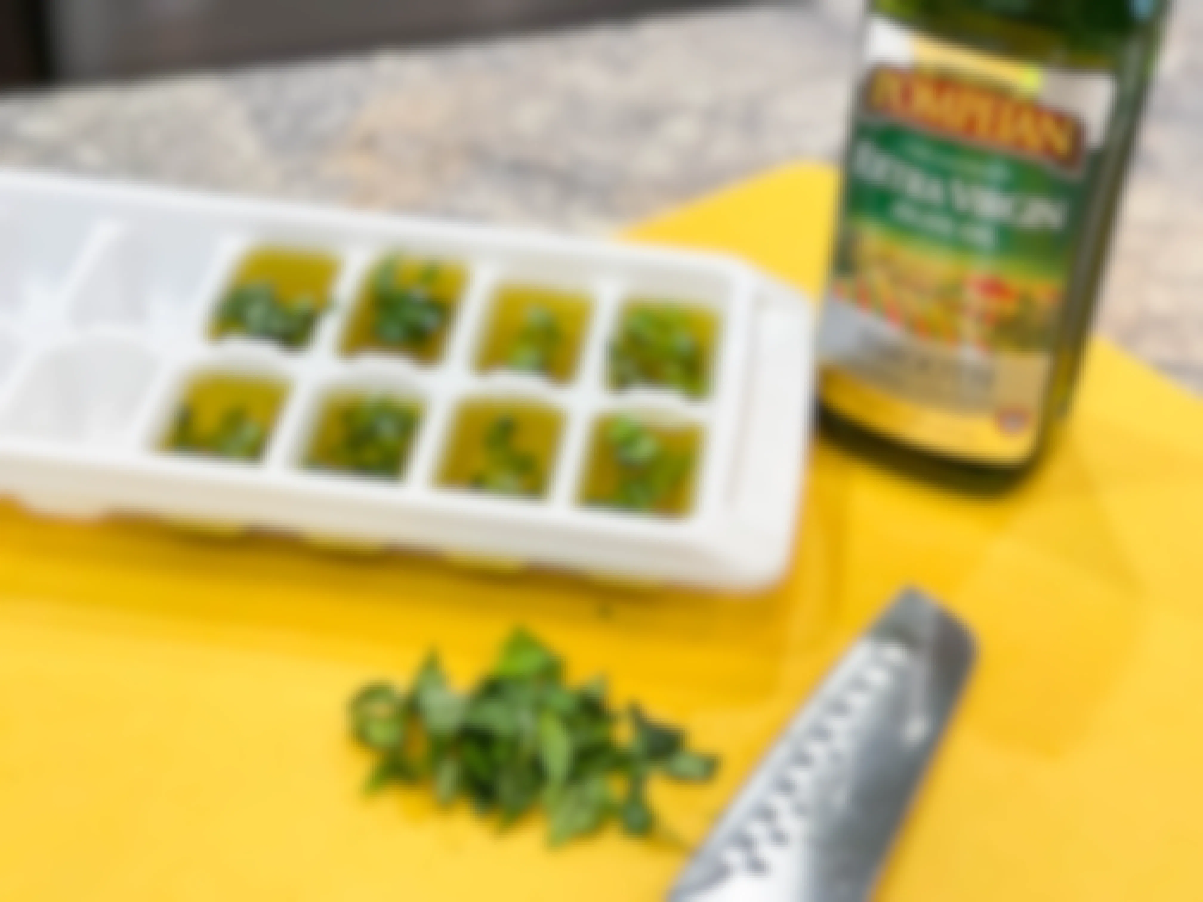 olive oil and basil in ice cube trays