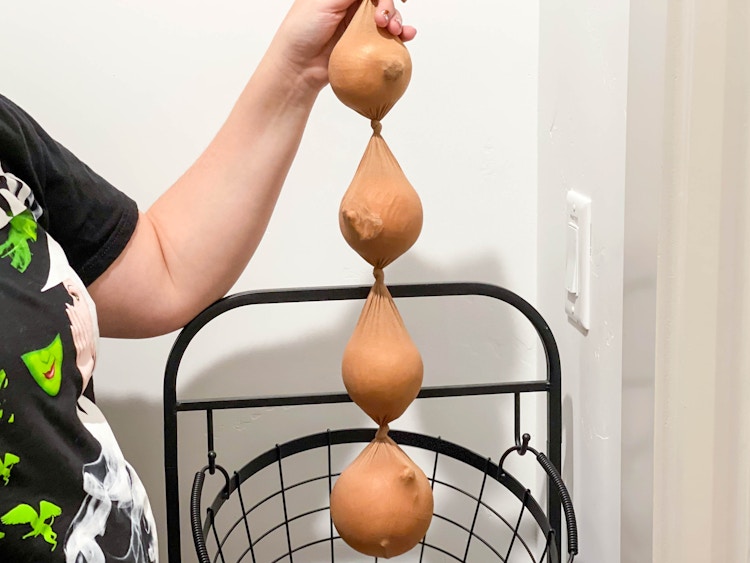 onions in a panty hose