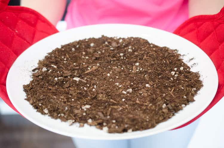 Microwave soil for 90 seconds to create a sterilized environment for seedlings.