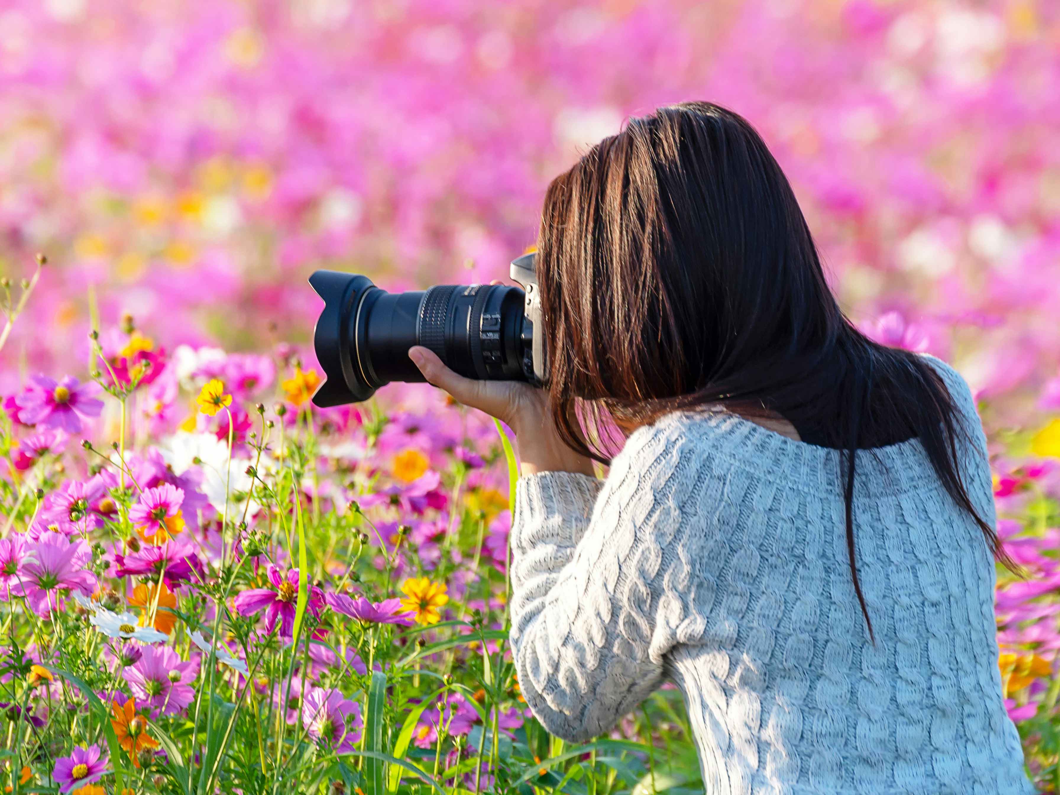 a person taking a photo in a flower field with a camera