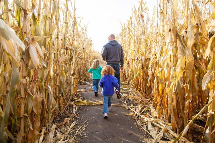 an adult and two children walking through row of dry cornstalks.
