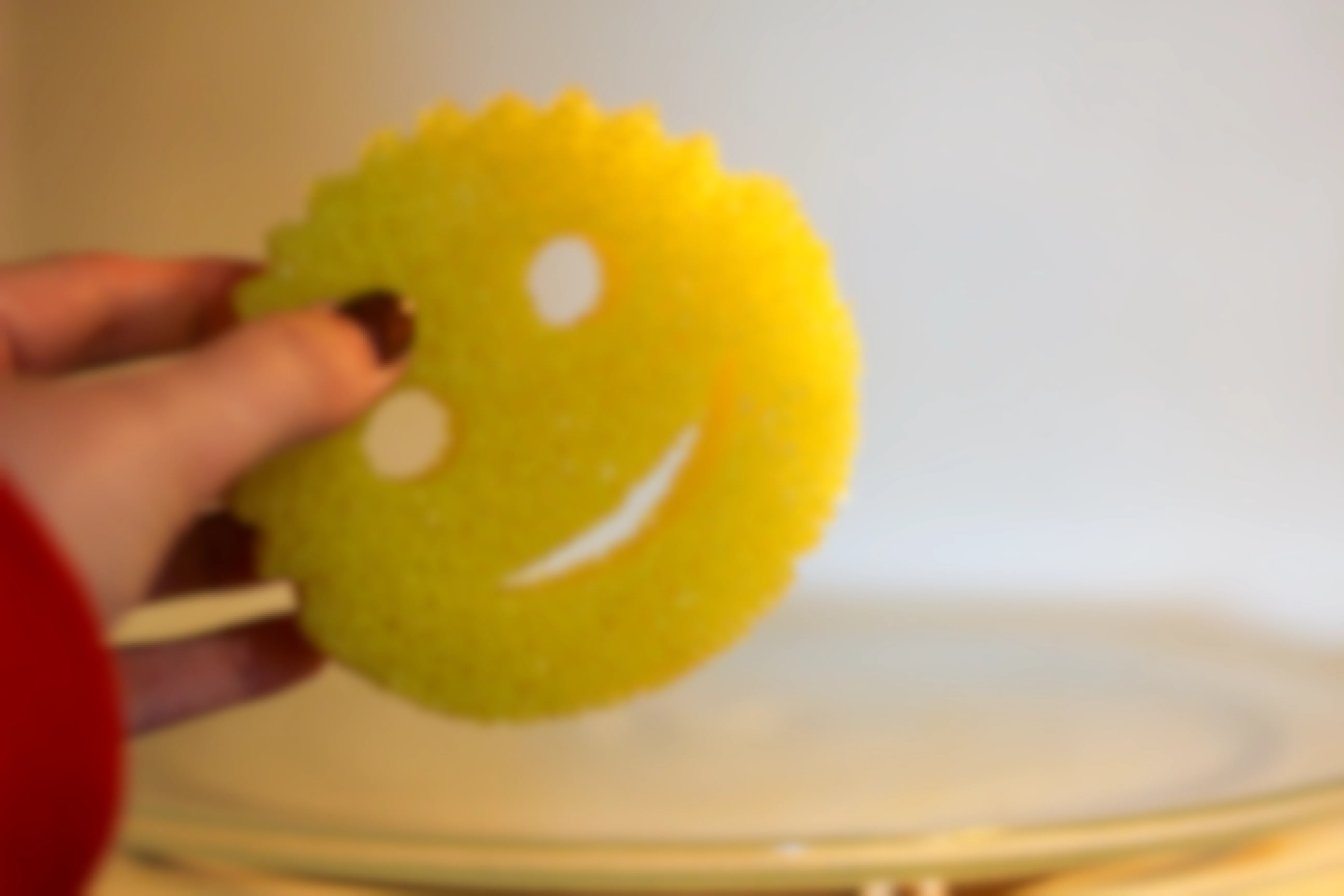 a scrub daddy going into the microwave
