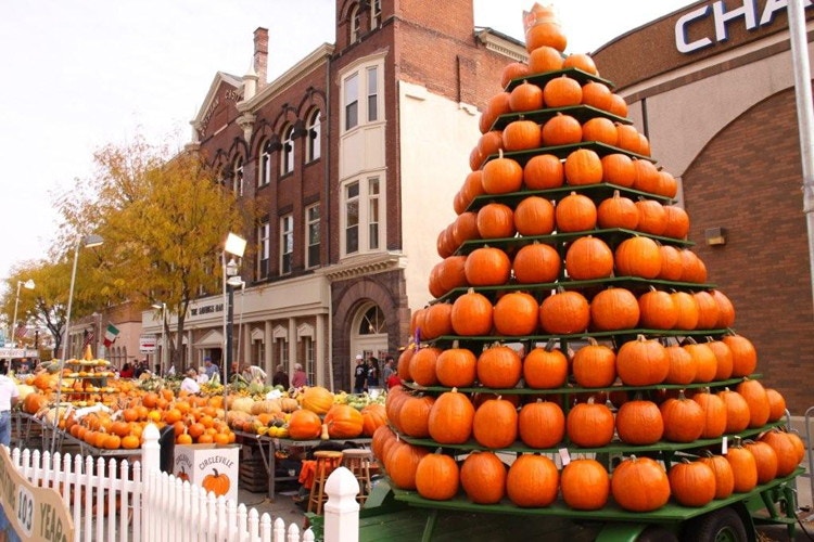 pumpkin-show