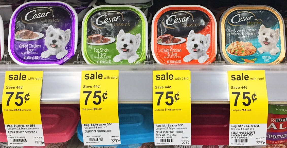 cesar dog food walgreens