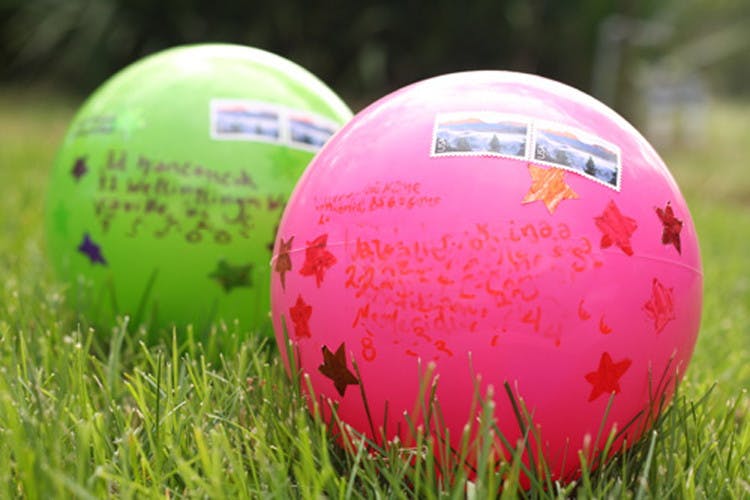 Have a rubber ball delivered.