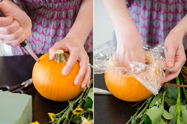 A person cutting into a small pumpkin and putting plastic wrap into the carved center.