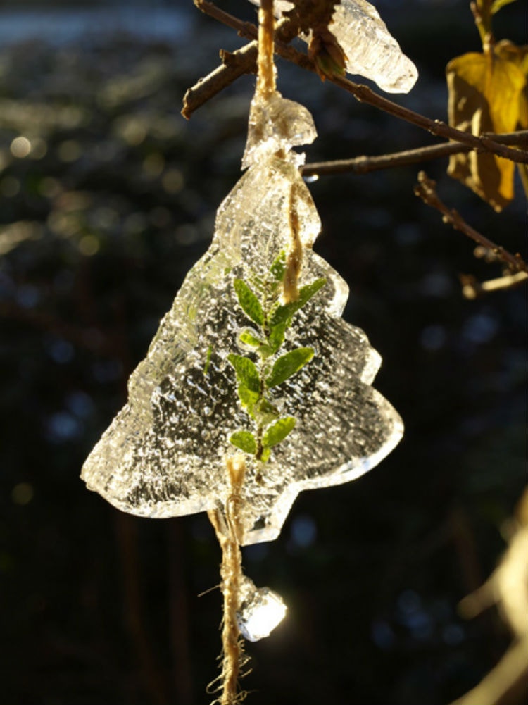 Make an ice sun catcher.
