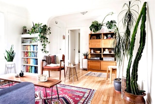 Put plants everywhere for an instant upgrade.