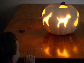 Carve pumpkins.