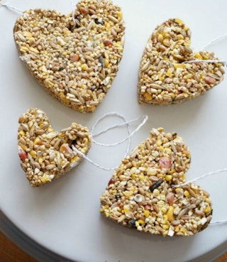Hang a cookie cutter bird feeder.