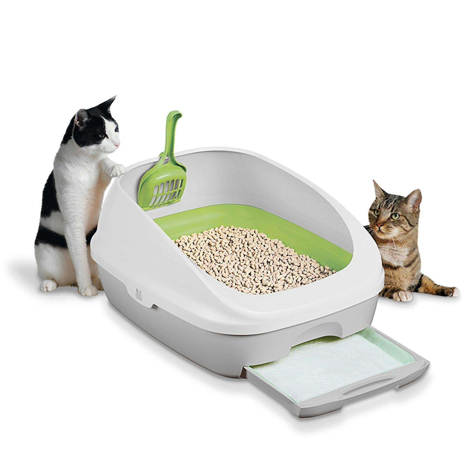 Breeze Cat Litter Coupon