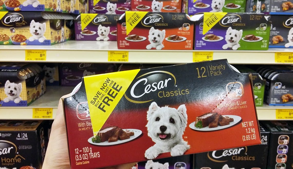 cesar dog food petsmart