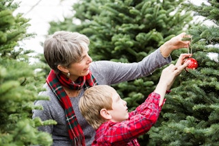 Family selecting a tree for Christmas at the Christmas tree farm.