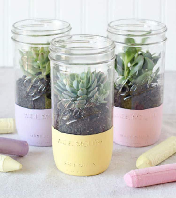 Plant succulents in a mason jar.