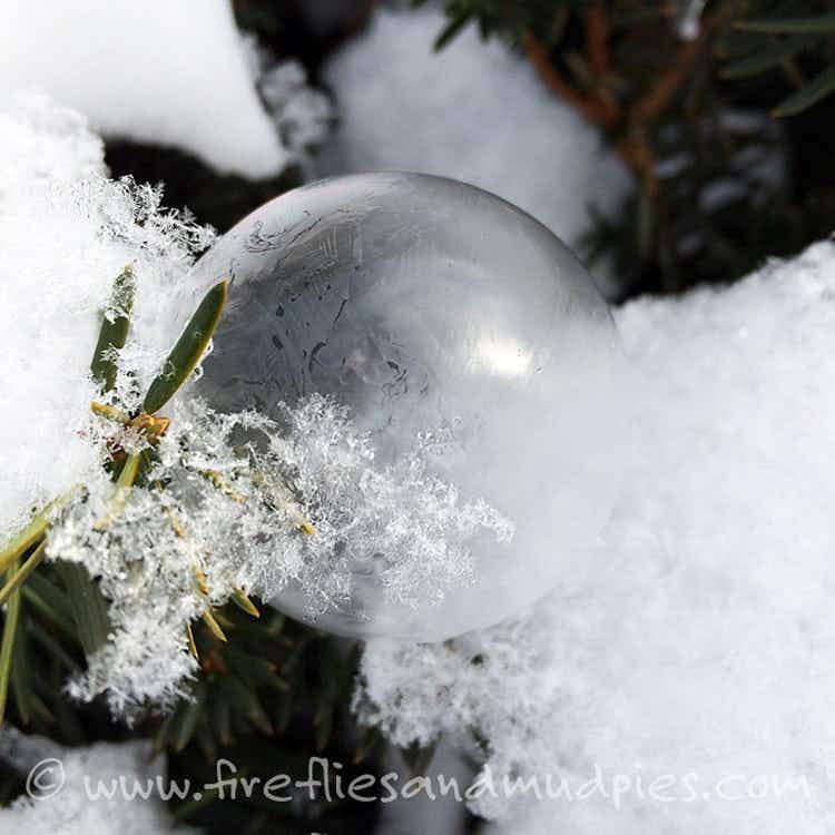 A frozen bubble resting on a tree branch covered in snow.