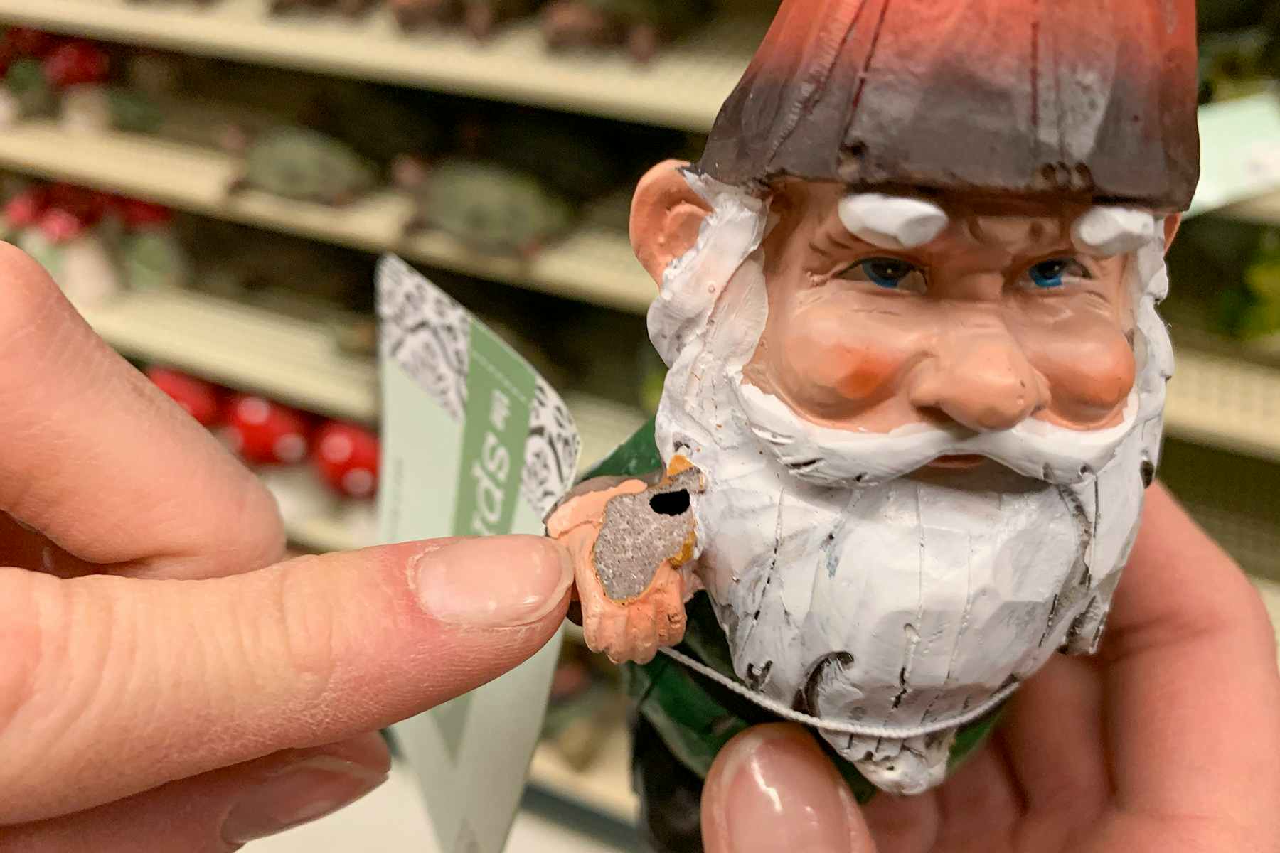 Someone pointing to the chip on a garden gnome.