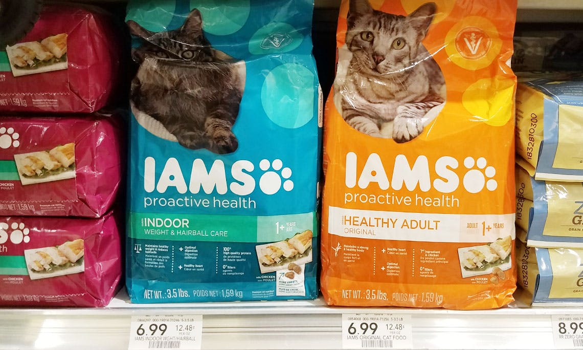 publix iams cat food