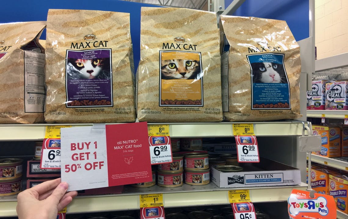 nutro kitten food petsmart