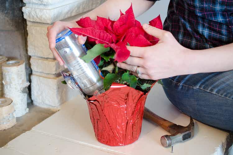 A person putting a bottle of water upside in a potted plant.