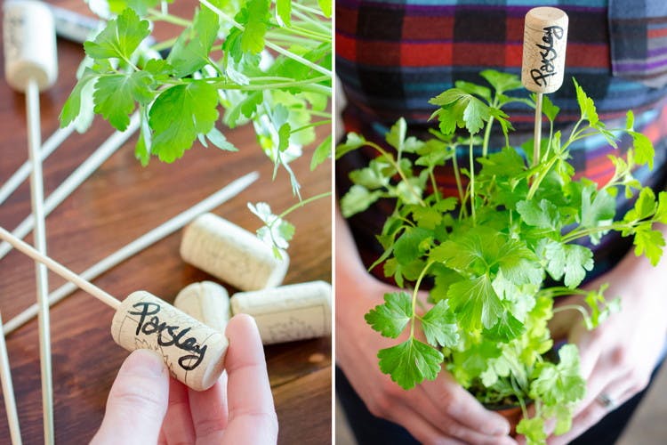 someone holding cork on stick with parsley written on it and it stuck into plant