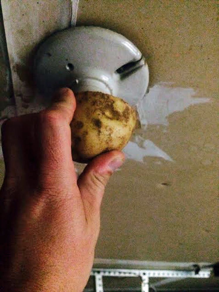someone using a potato to remove a broken light bulb from its socket.
