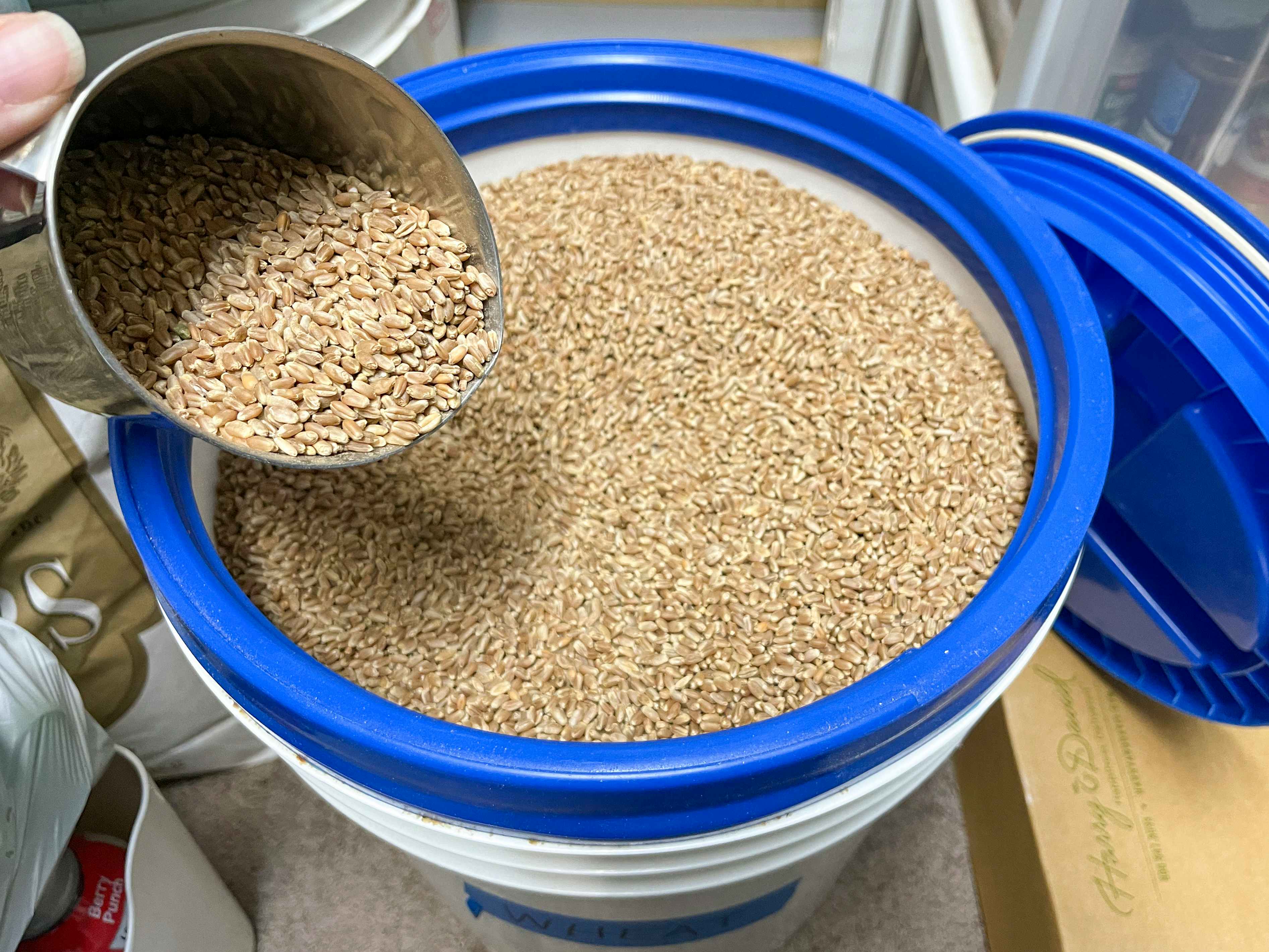 A bucket full of wheat 