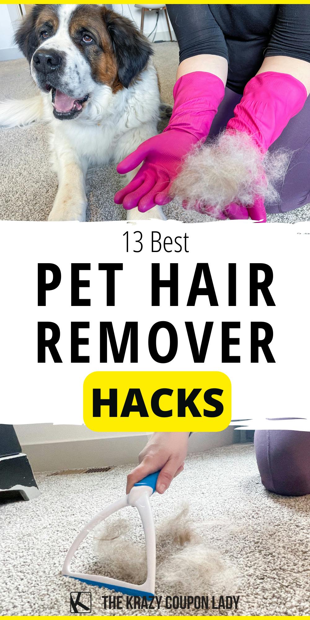 13 Best Pet Hair Remover Hacks That Will Change Your Life - The Krazy  Coupon Lady