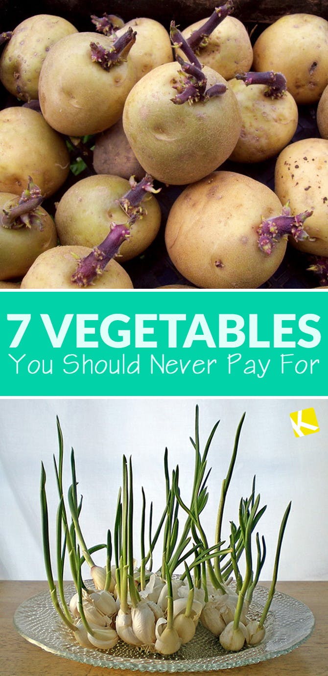 7 Vegetables You Should Never Pay For