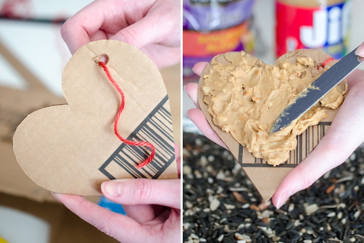 Feed birds using an empty cardboard box.
