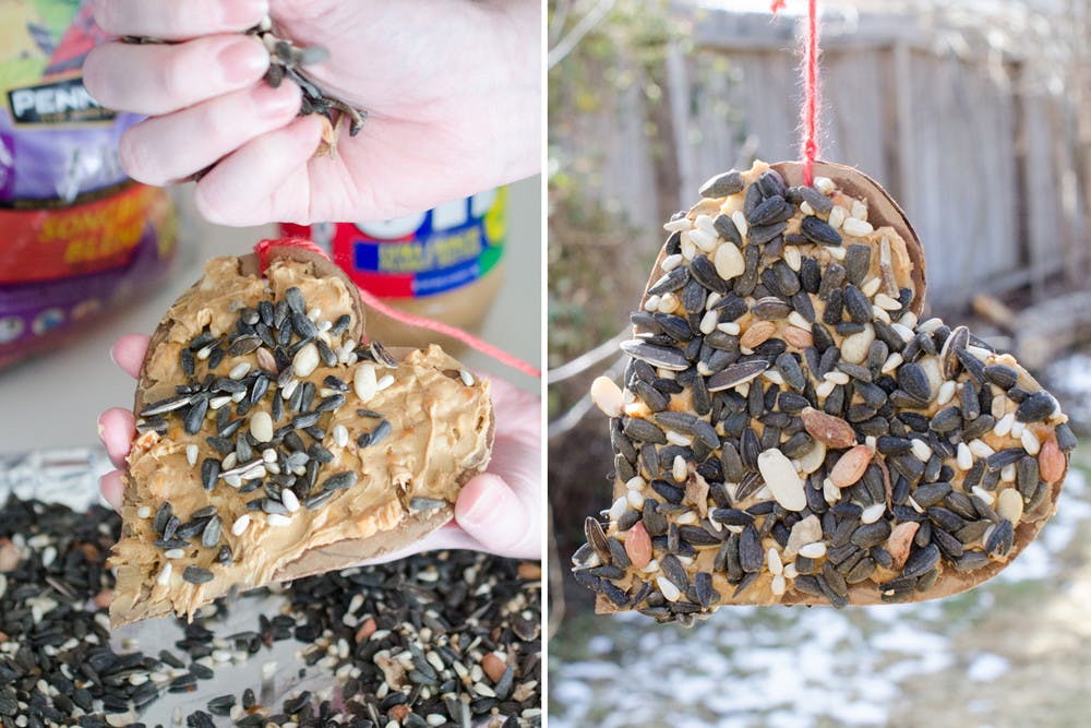 Someone sprinkling bird seed onto the cardboard heart covered in peanut butter and the finished product hanging from a tree