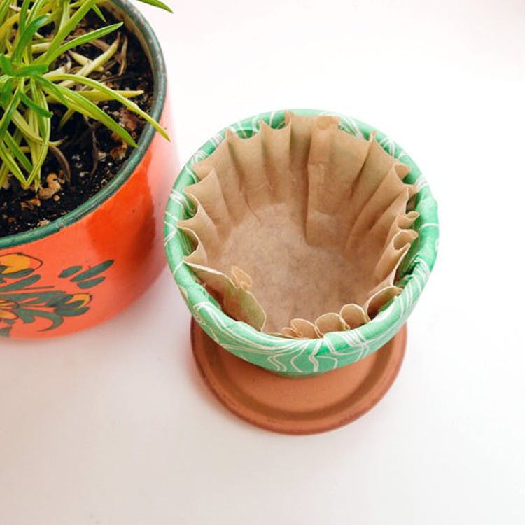 coffee filter in plant pot