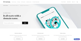 GoDaddy.com website domains page.