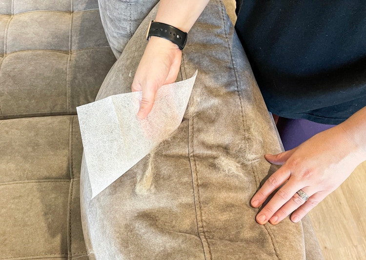 picking up dog hair with dryer