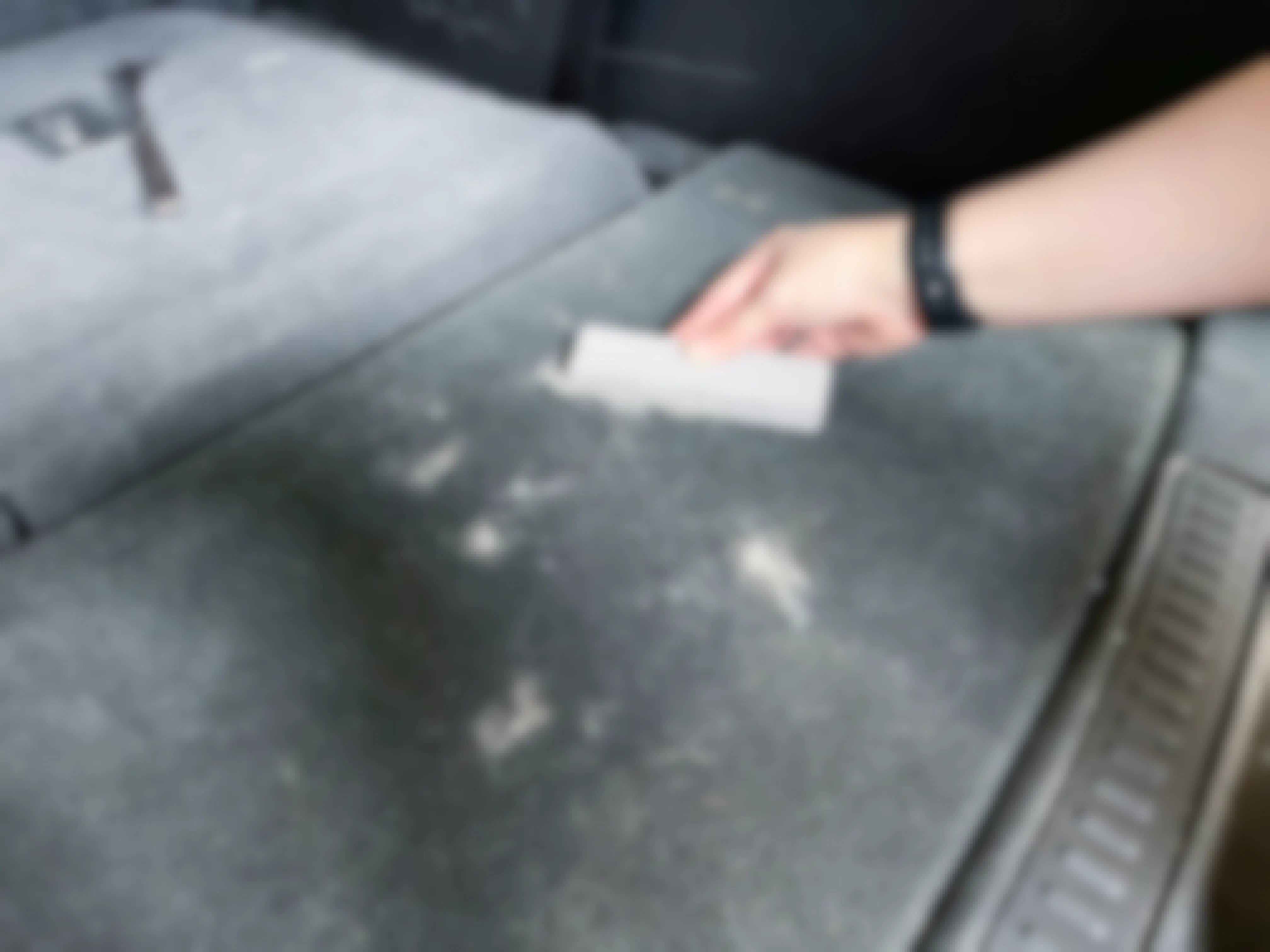 using a pumice stone to pick up pet hair in car
