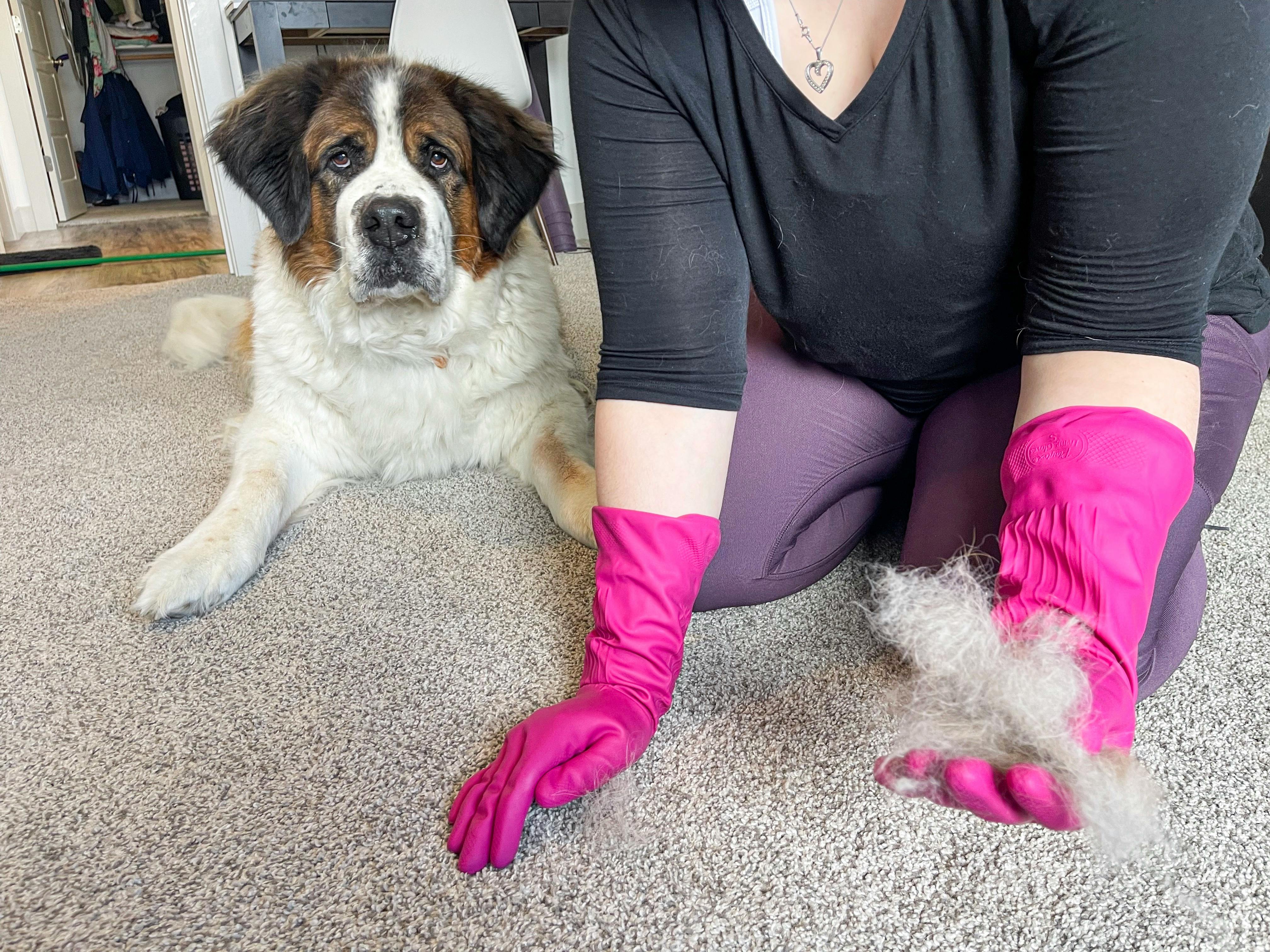 Pet hair remover glove for clearance furniture