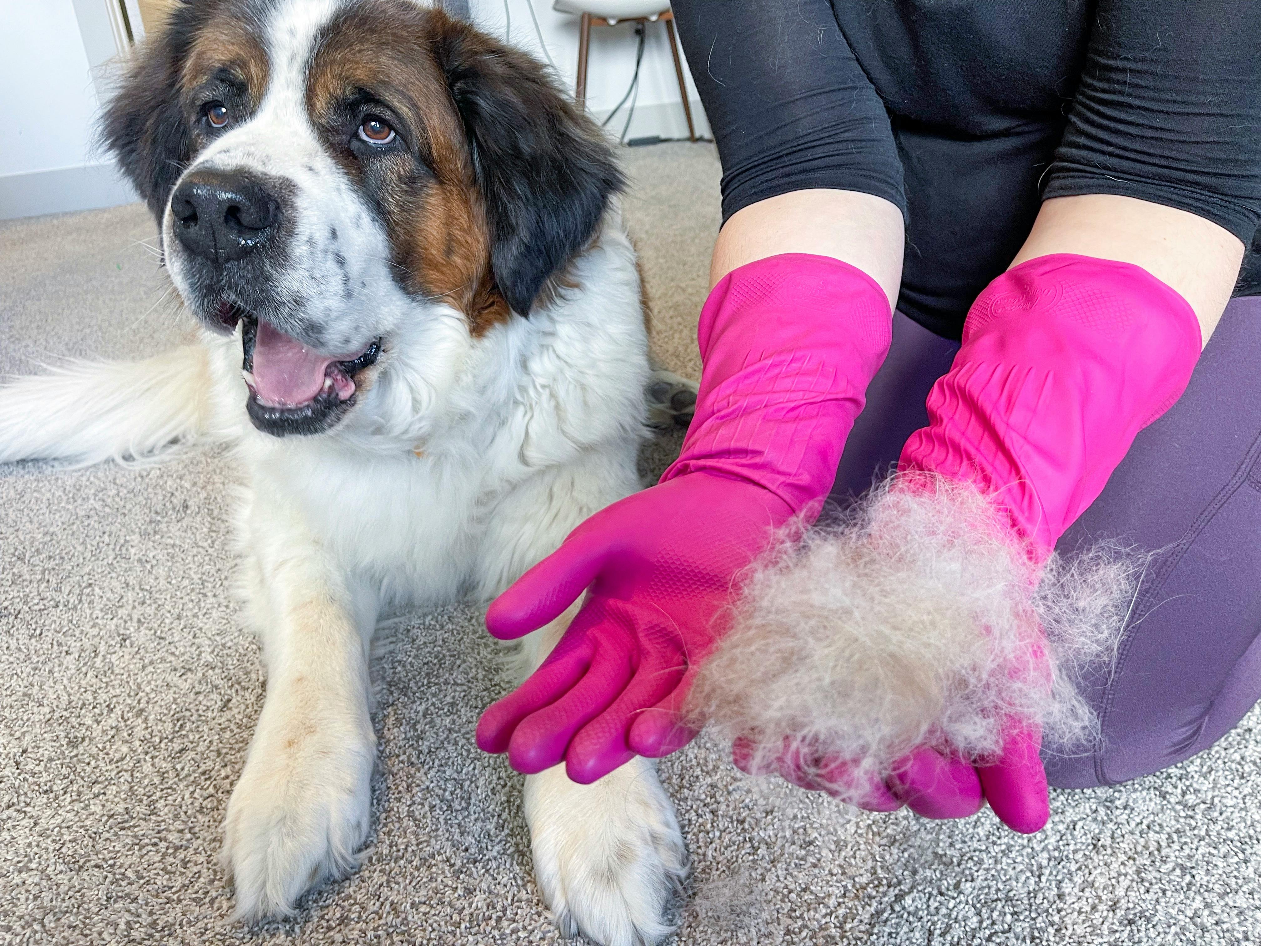 Hacks To Get Dog Hair Off Clothes In The Washer (Or Dryer)! | 4-pack Laundry  Pet Hair Remover To Remove Fur From Washers And Dryers 
