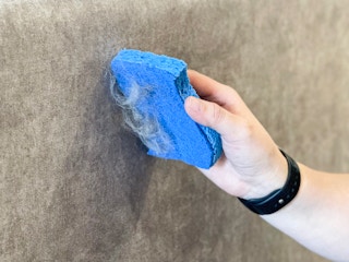 cleaning pet hair off couch with scrub sponge