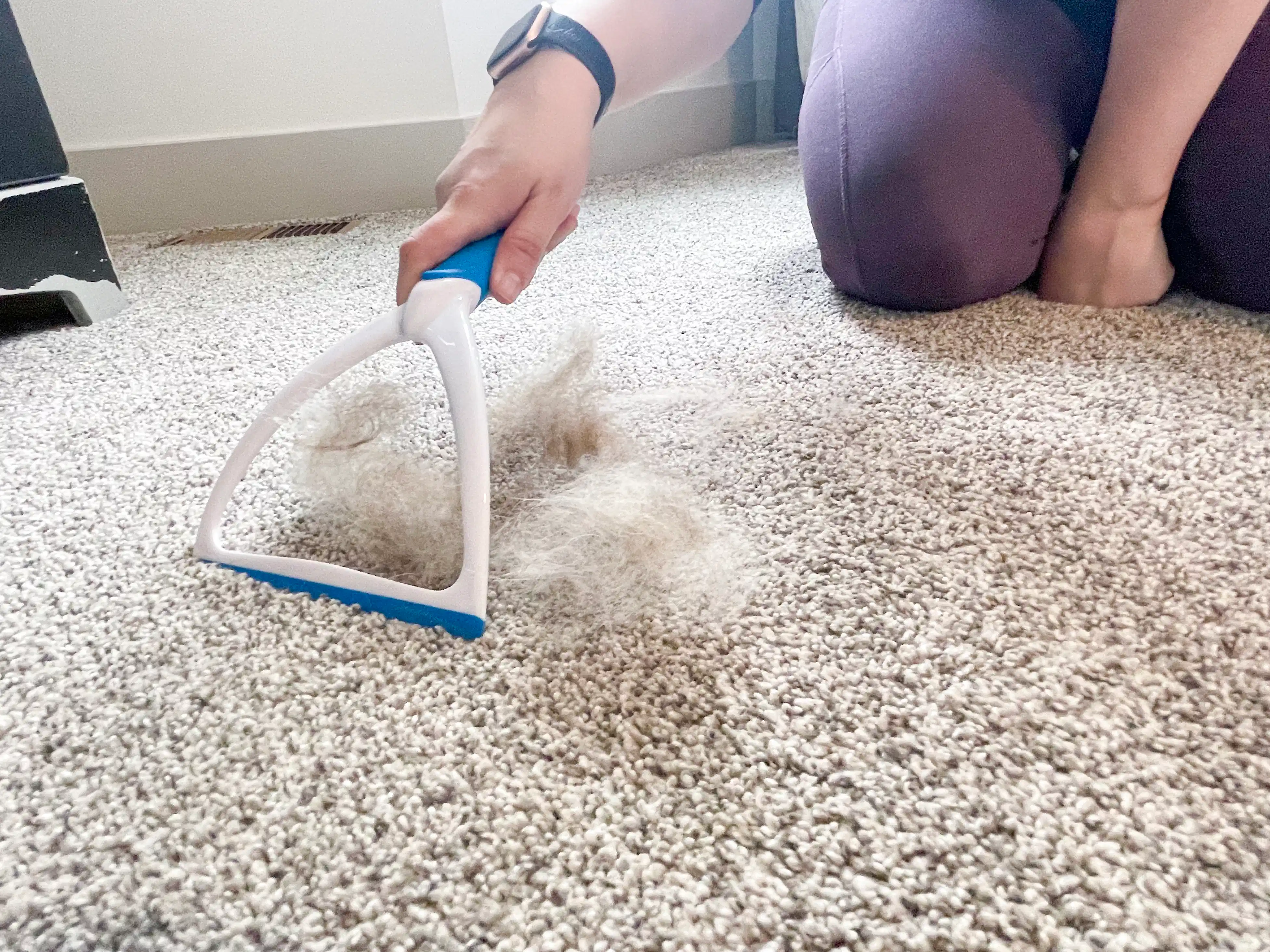 13 Best DIY Pet Hair Removal Hacks The Krazy Coupon Lady 13-best-diy-pet-hair-removal-hacks-the-krazy-coupon-lady