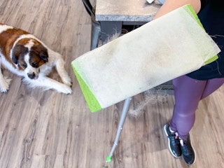 swiffer with dryer sheet to clean pet hair on floor
