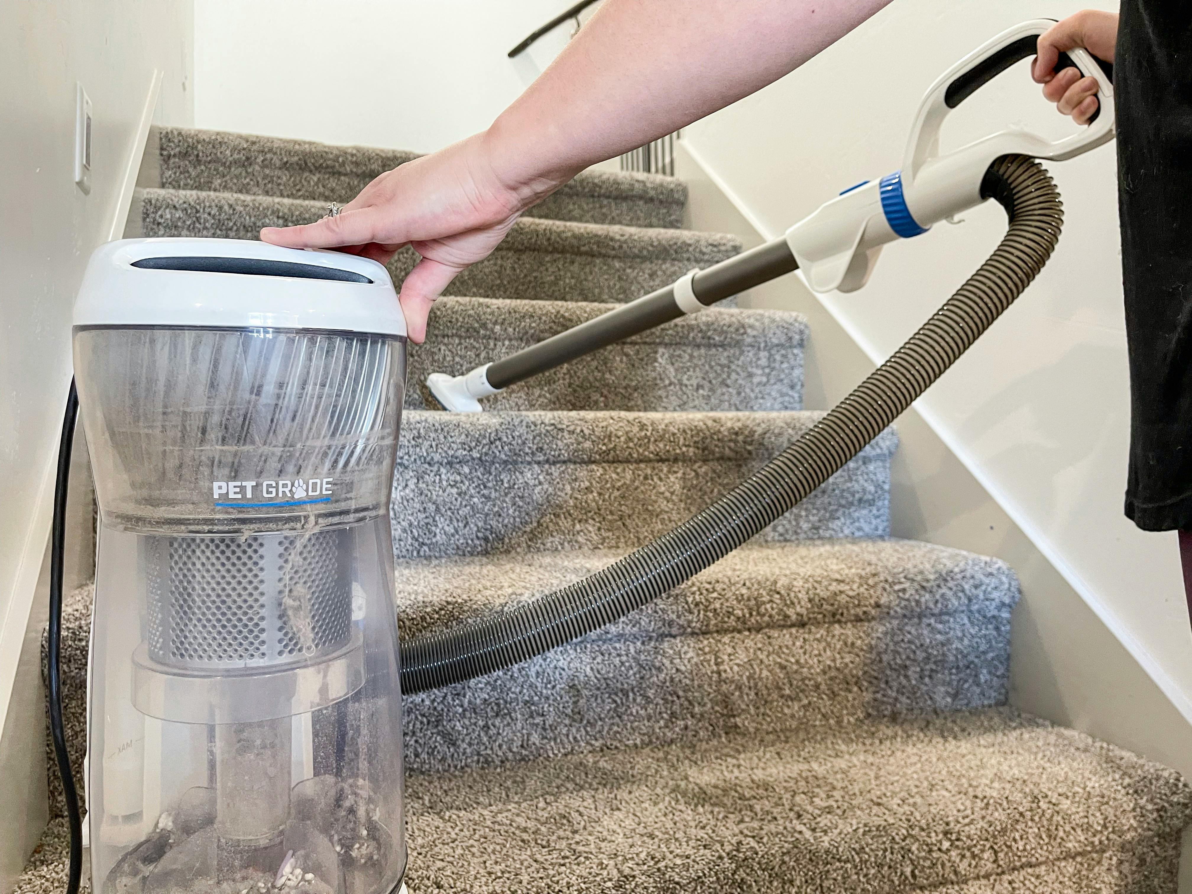 how to keep carpet stairs clean dog hair