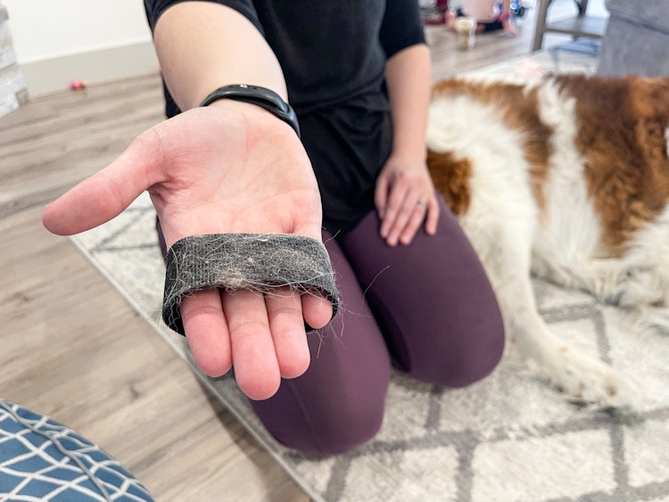 using velcro to clean pet hair