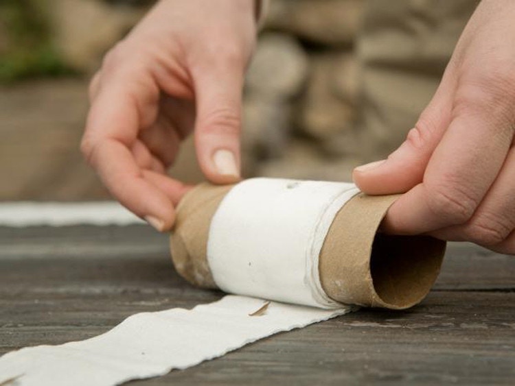 someone rolling homemade toilet paper seed tape.