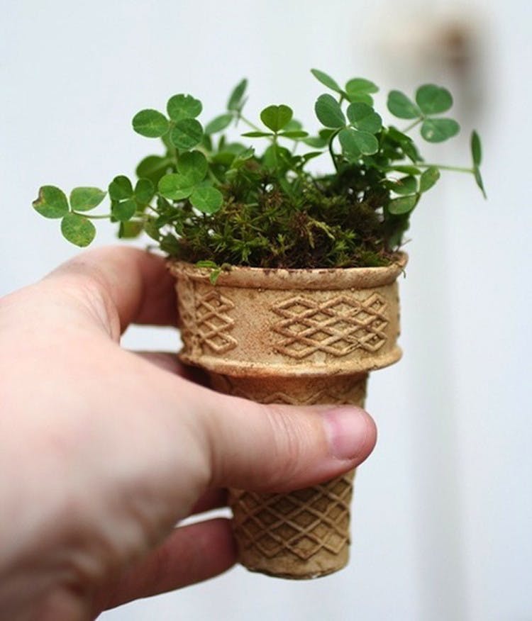 someone holding an ice cream cone with a plant growing out of it