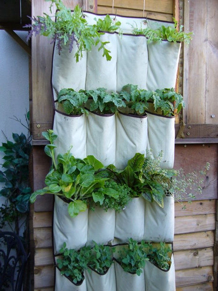 over-the-door organizer filled with plants